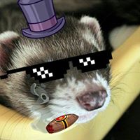 Navigation bar avatar